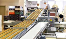Stainless rod ends for food processing washdown